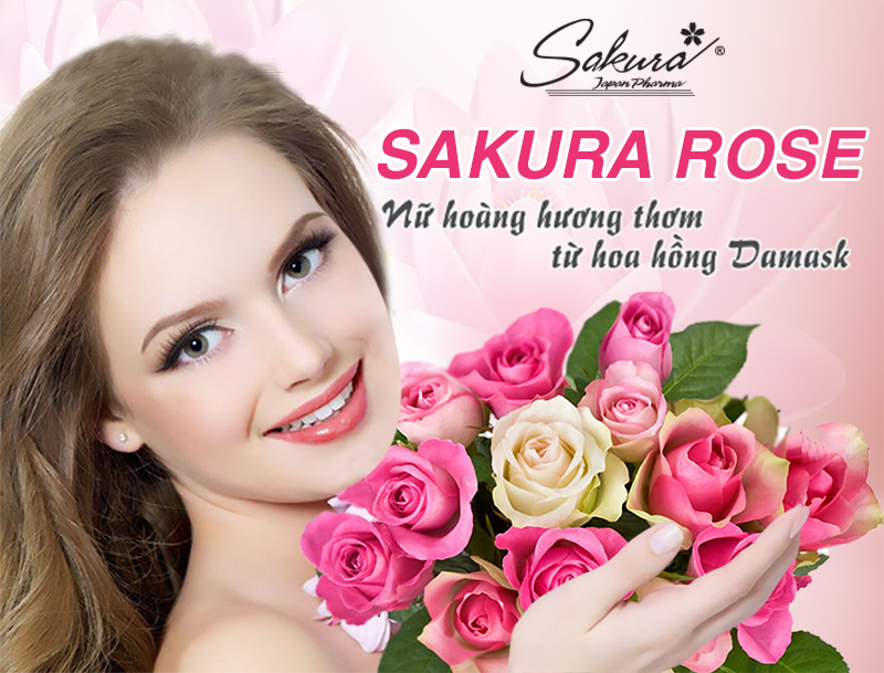 Sakura Rose - Nữ hoàng hương thơm Damask