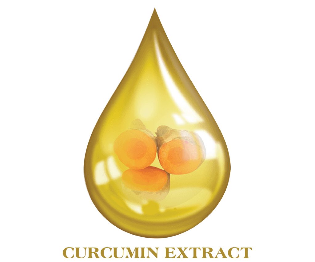 Curcumin extract
