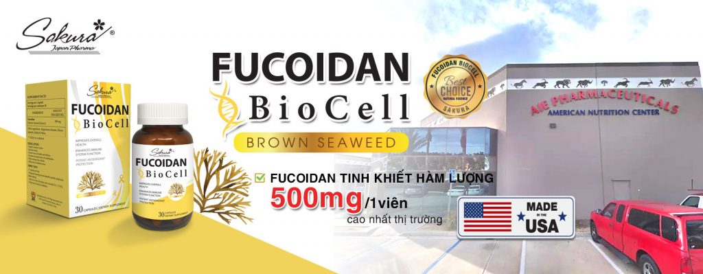 Sakura Fucoidan Biocell hàm lượng 500mg cao nhất thị trường