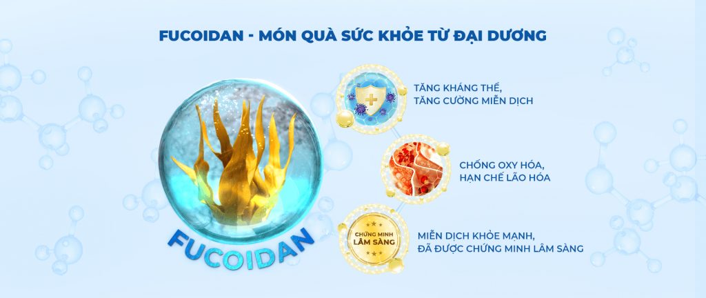 Fucoidan - Món quà sức khỏe từ đại dương