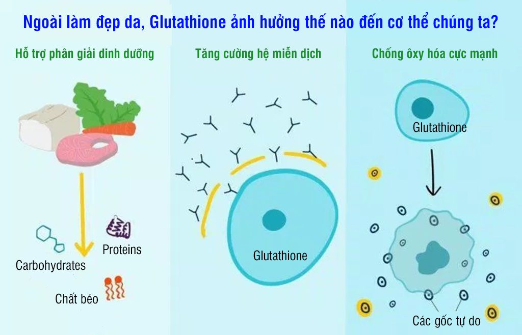 Glutathione ảnh hưởng đến cơ thể chúng ta như thế nào?
