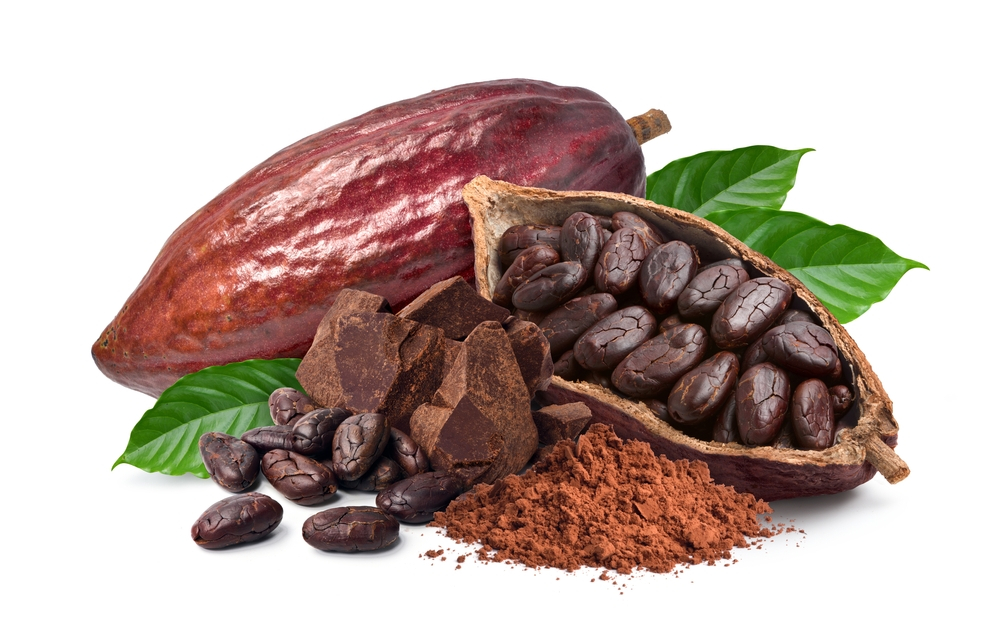 Cacao (Cocoa)