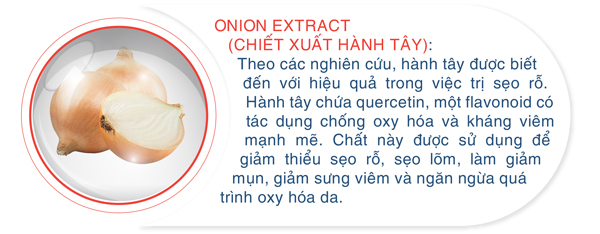 Onion Extract (Chiết xuất Hành tây)